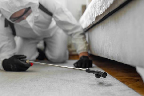 Professional Bed Bug Control technician working in Glassport, PA