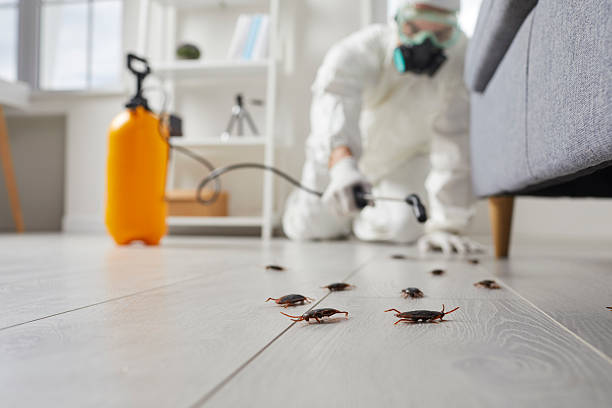Trusted Fumigation Services service in Glassport, PA - Nex Pest Control