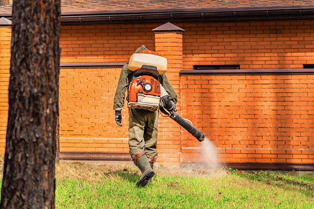 Trusted Bed Bug Control service in Glassport, PA - Nex Pest Control